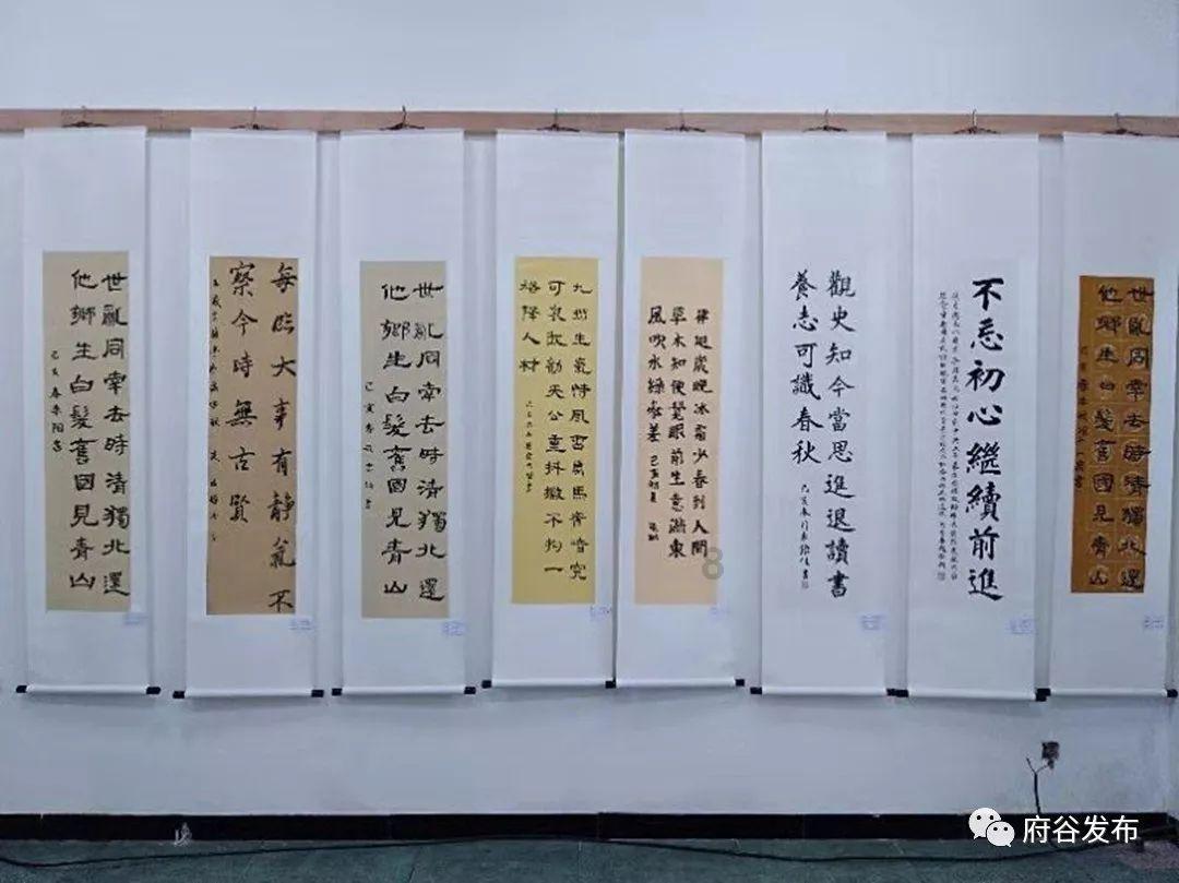 探索如何解决这道数学题?,知识星球平台